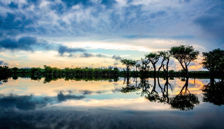 Turismo sostenible en la Amazonía: cómo viajar de forma responsable y vivir una aventura transformadora