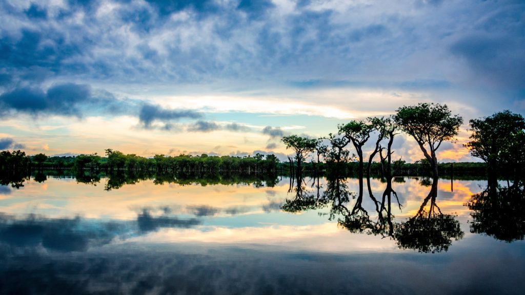 Turismo sostenible en la Amazonía: cómo viajar de forma responsable y vivir una aventura transformadora