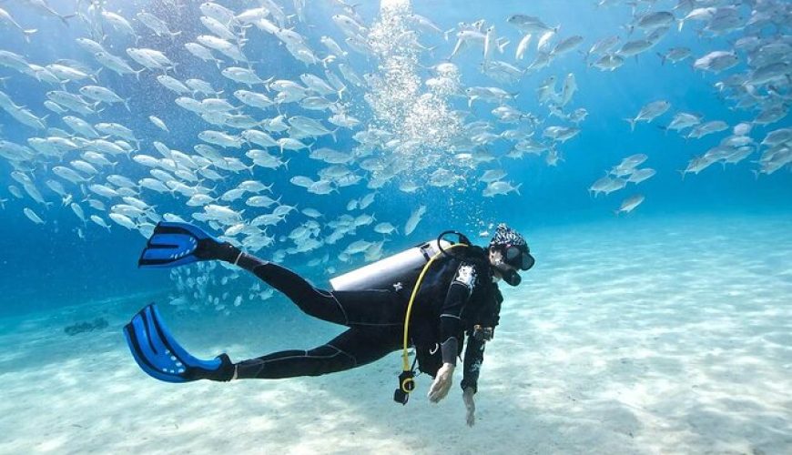 Sumérgete en el Paraíso Azul: La Guía Definitiva de los Mejores Lugares para Bucear en el Caribe