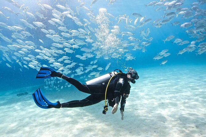 Sumérgete en el Paraíso Azul: La Guía Definitiva de los Mejores Lugares para Bucear en el Caribe